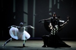 VIVA LA CLASSICA - Държавен музикален и балетен център - София 
